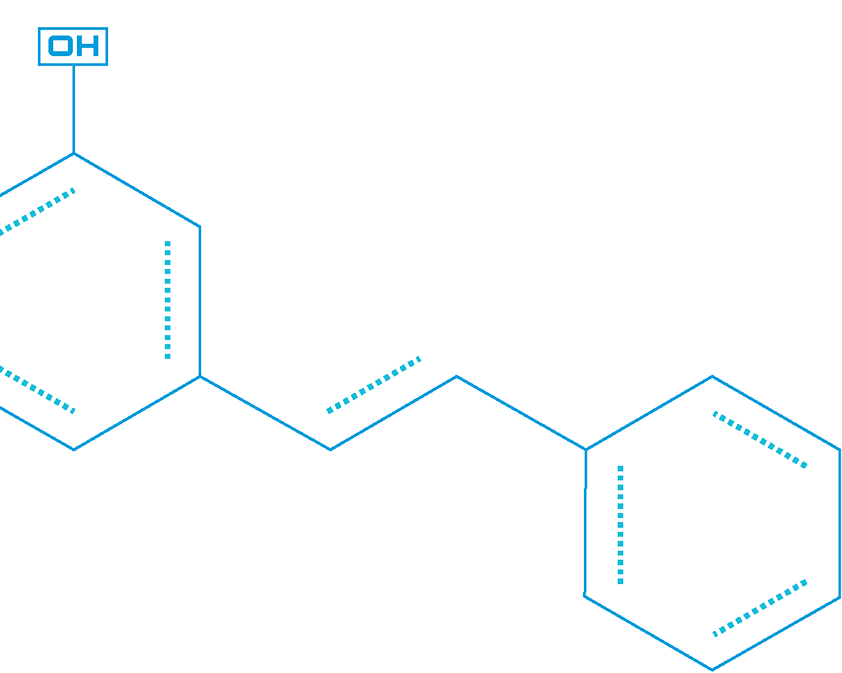 shape background image